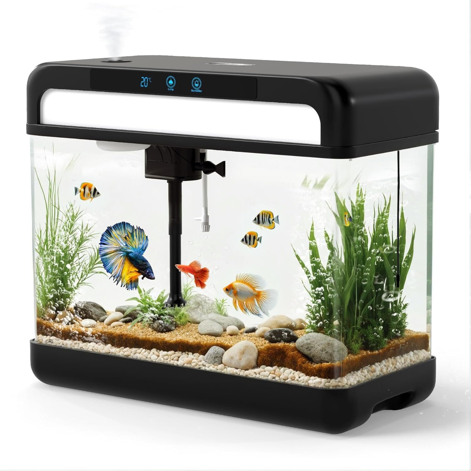 Eco Fish Tank
