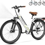 Electric Bicycle